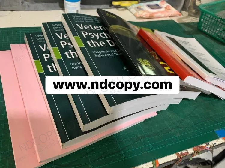 หนังสือ คู่มือ PDF ไฟล์