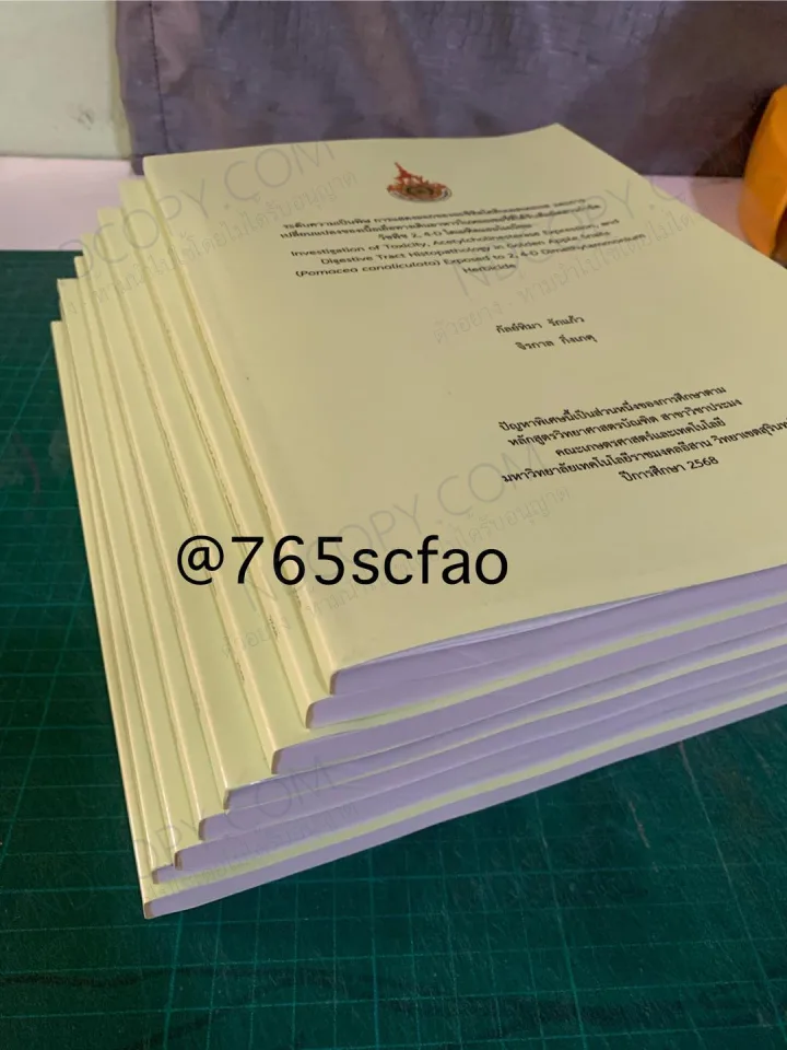 รายงานวิจัย โปรเจค